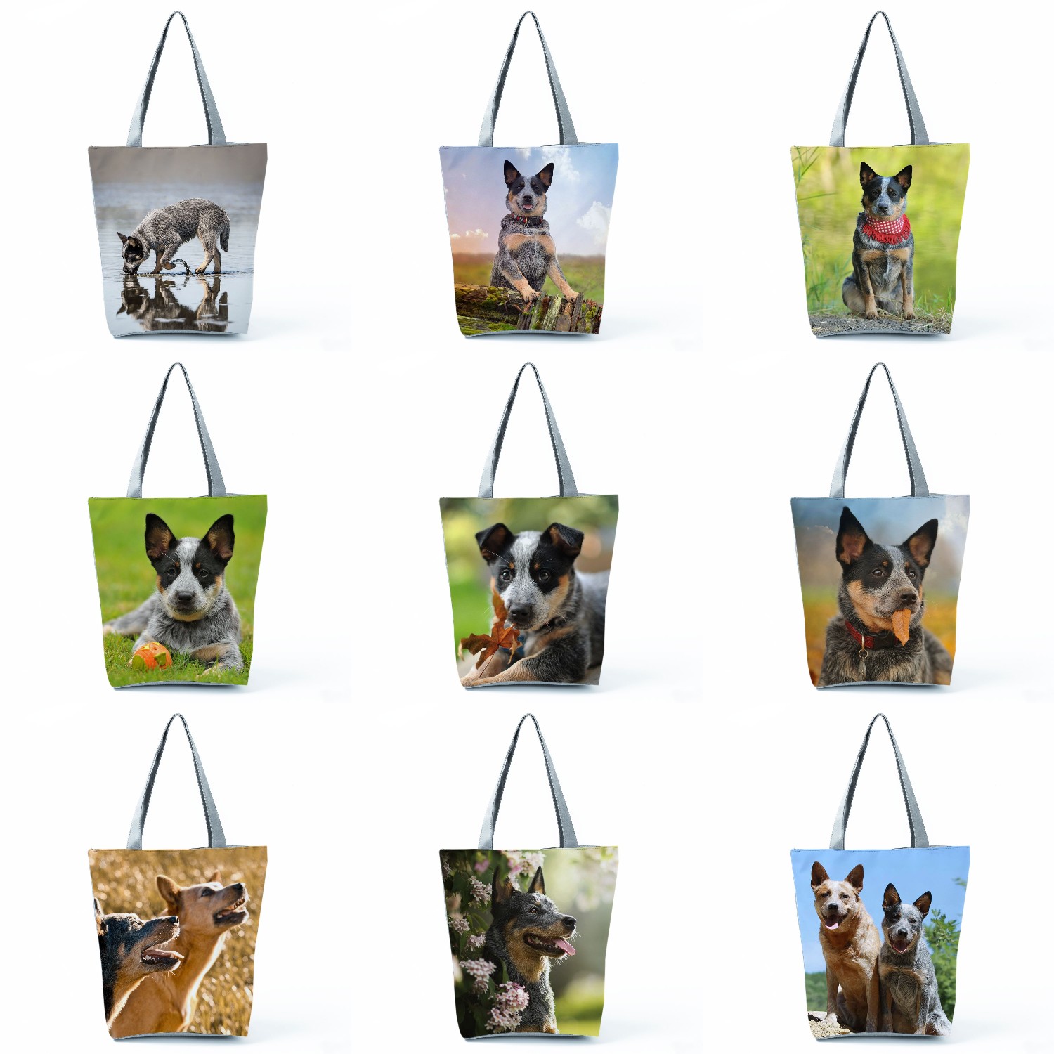 Australian Cattle Dog Printed  - Women Bags Australia ulasan dan harga